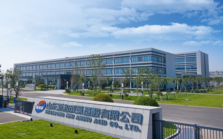 山东新和成精化科技有限公司CWA0加固工程