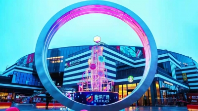 新场镇金典花苑建设工程【汇锦城（四号地块）】二次结构改造工程