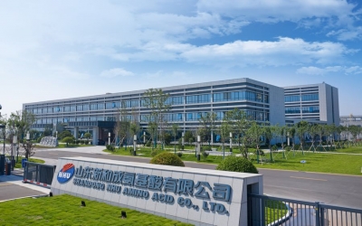 山东新和成精化科技有限公司CWA0加固工程